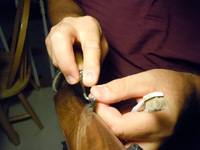 Click to enlarge photo